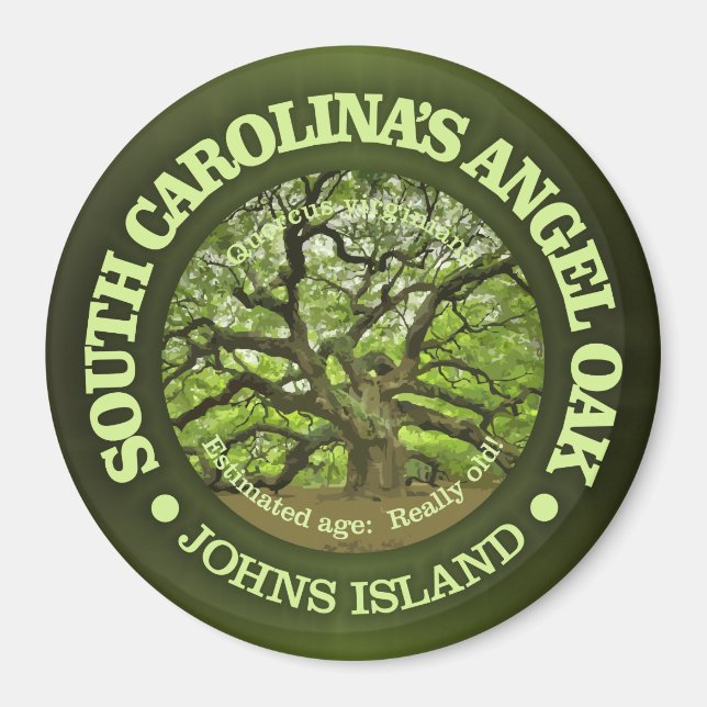 Angel Oak Magnet (Front)