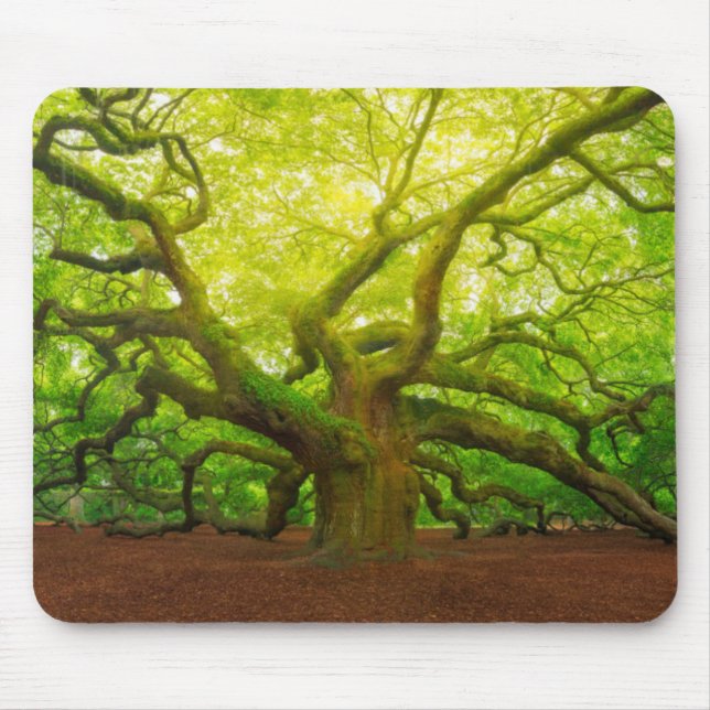 Angel Oak Mouse Pad (Front)