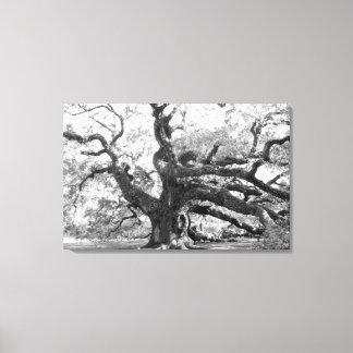 Angel Oak on canvas