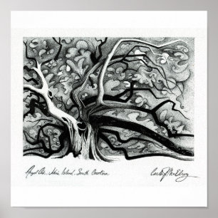 Angel Oak Poster