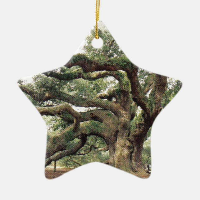 Angel Oak Tree 1,000 years old Ceramic Tree Decoration (Front)