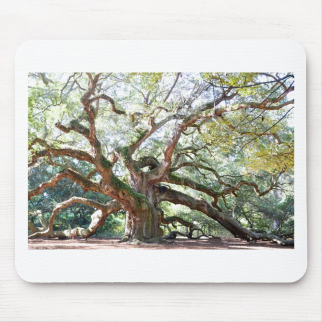 Angel Oak Tree Gifts Mouse Pad (Front)