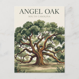 Angel Oak Tree South Carolina Postcard