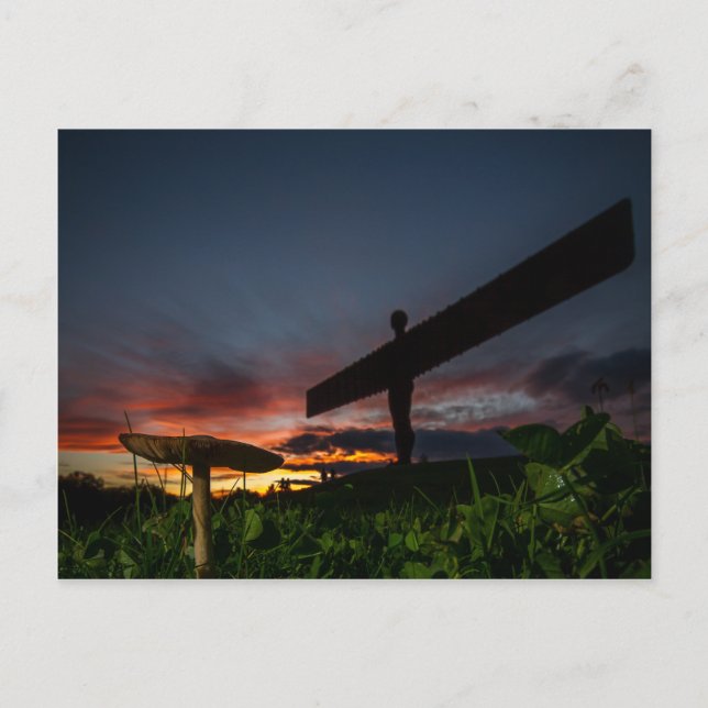 Angel Of The North Postcard (Front)