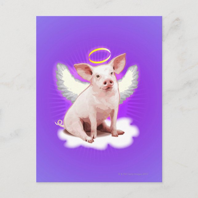 Angel Pig Postcard (Front)