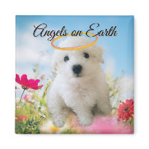 Angel Puppy Magnet