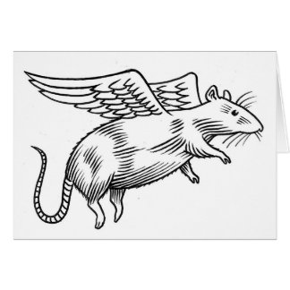 Angel rat