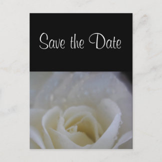 Angel rose save the date wedding announcement