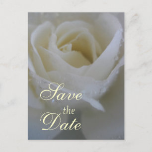 Angel Rose Wedding Announcement Postcard