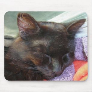 Angel Slate Mouse Pad