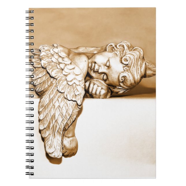 Angel Spiral Notebook (Front)