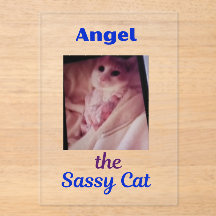 Angel the Sassy Cat Acrylic Invitations