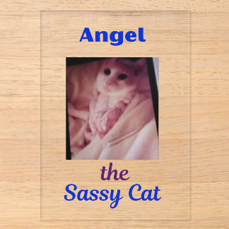 Angel the Sassy Cat Acrylic Invitations