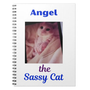 Angel the Sassy Cat Paw Cat Notebook
