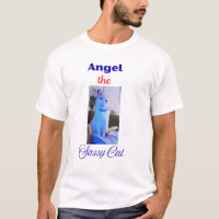 Angel the Sassy Cat