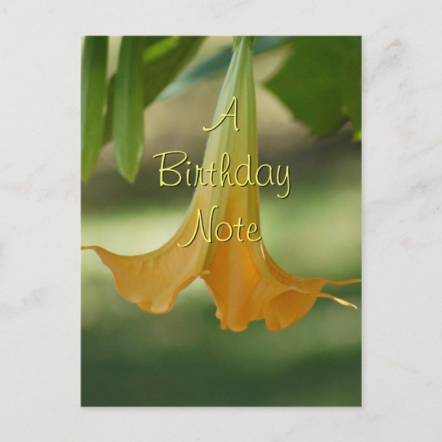 Angel Trumpet Postcard- customise any occasion Postcard (Front)