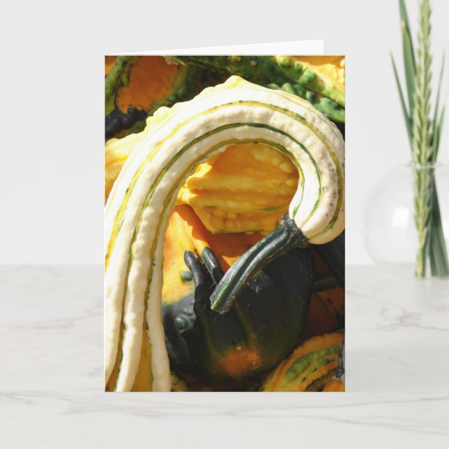 Angel Wing Gourd Card (Front)