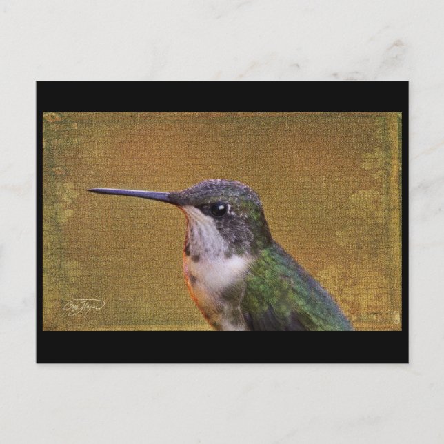 Angel Wing Series Postcard (Front)
