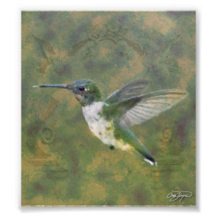 Angel Wings Series Photo Print