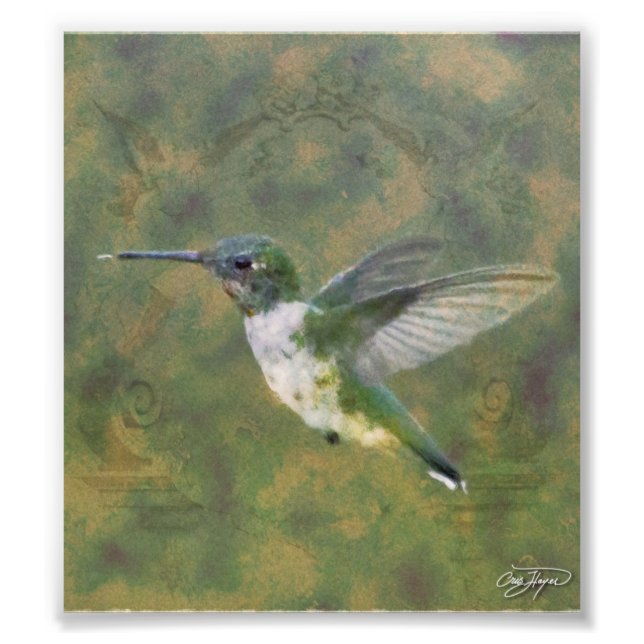 Angel Wings Series Photo Print (Front)