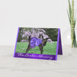 Angel & Wisteria2- customise any occasion Holiday Card