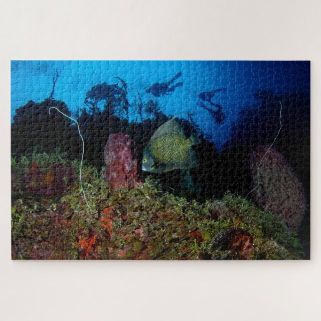 Angelfish and Divers From Below 20"x30" Jigsaw Puzzle (Horizontal)
