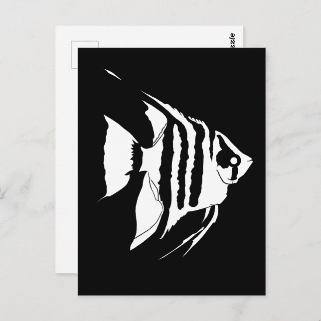Angelfish. Black and white. Monochrome Postcard (Front/Back)