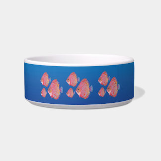 Angelfish Bowl