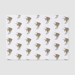 Angelfish cartoon illustration tissue paper