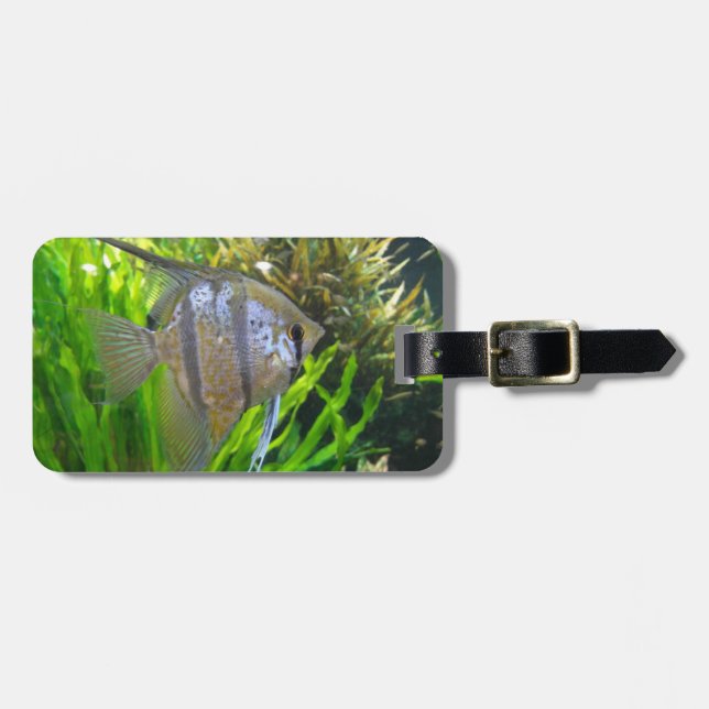 Angelfish Luggage Tag (Front Horizontal)