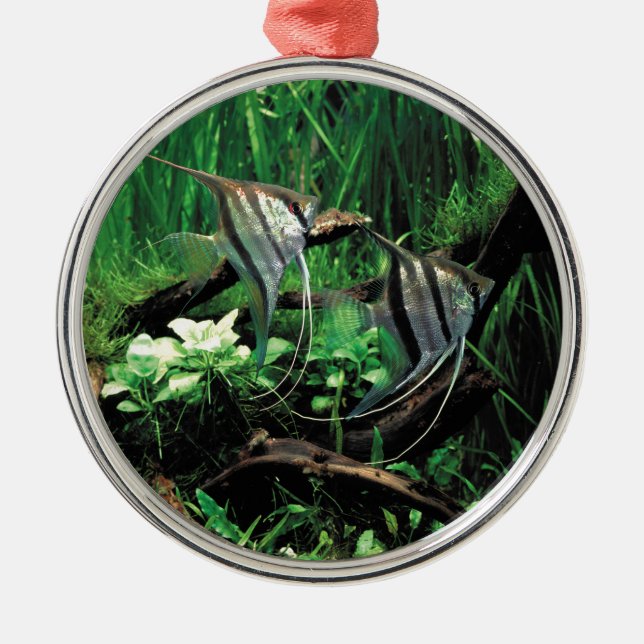 ANGELFISH METAL TREE DECORATION (Front)