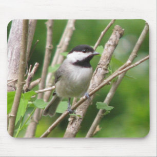 Angelic C. Chickadee Mousepad