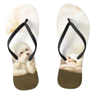Angelic Dog and Cat on Cloud Jandals