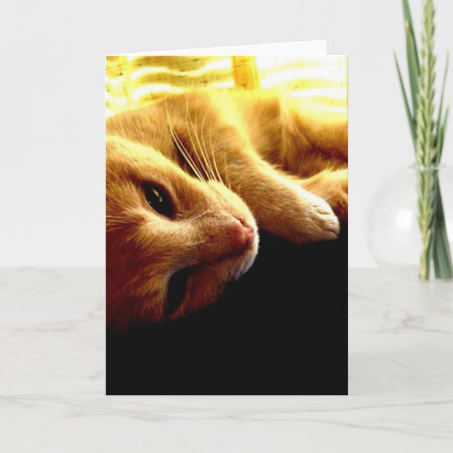 Angel's Eyes Card (Front)