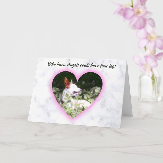 Angels Have Four Legs Pet Sympathy Card (Orchid)