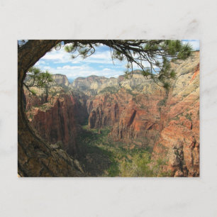 Angels Landing Postcard