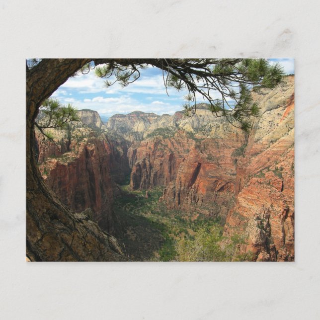 Angels Landing Postcard (Front)