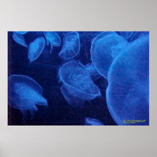 Angels of Light Poster