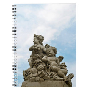 Angels Spiral Notebook