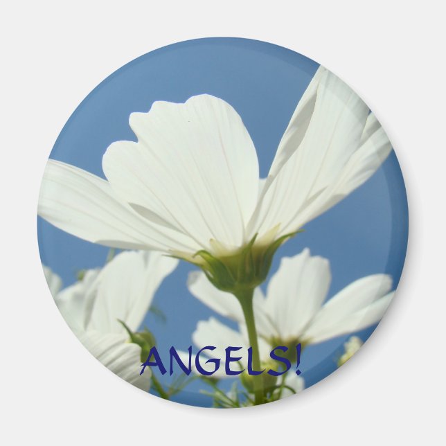 Angels! White Daisy Flower Wings Magnet Daisies (Front)
