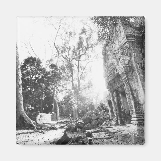 Angkor Cambodia, Details Ta Prohm Magnet (Front)