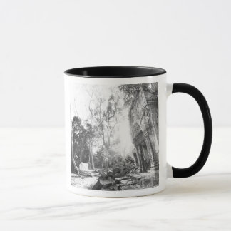 Angkor Cambodia, Details Ta Prohm Mug