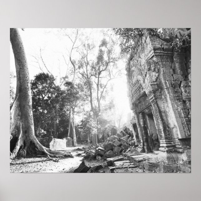 Angkor Cambodia, Details Ta Prohm Poster (Front)