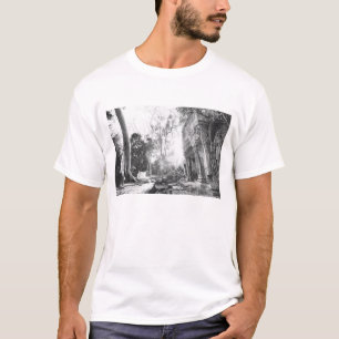 Angkor Cambodia, Details Ta Prohm T-Shirt