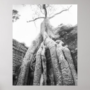 Angkor Cambodia, Tree Ta Prohm Poster