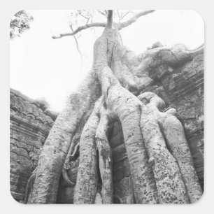 Angkor Cambodia, Tree Ta Prohm Square Sticker