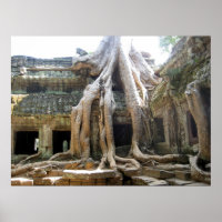 Angkor Tree