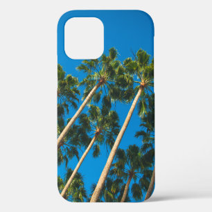 Angle perspective of group of tall thin palm trees iPhone 12 case