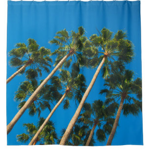 Angle perspective of group of tall thin palm trees shower curtain