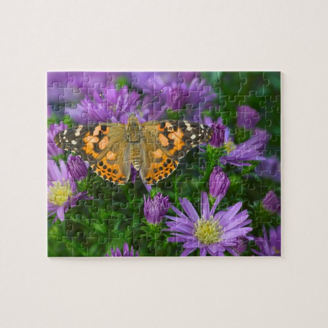 Angle Wing Butterfly On Cone Flower Jigsaw Puzzle (Horizontal)